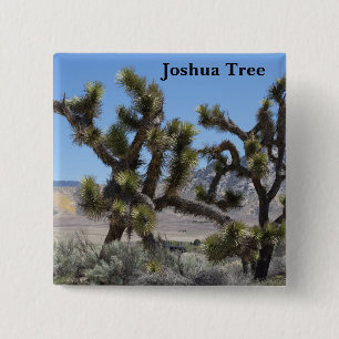 Joshua Tree in California 15 Cm Square Badge
