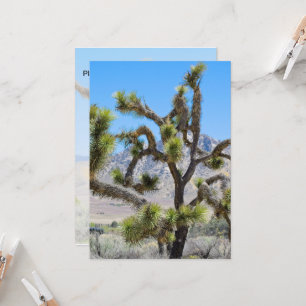 Joshua Tree in California Invitation