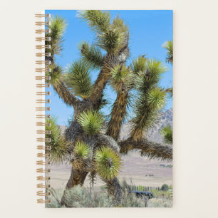 Joshua Tree in California Planner
