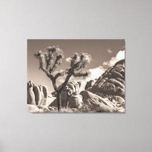 Joshua Tree Landscape Sepia Tone Canvas Print
