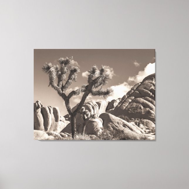 Joshua Tree Landscape Sepia Tone Canvas Print (Front)