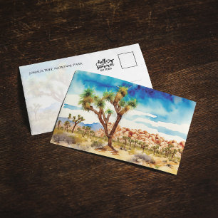 Joshua Tree National Park California Postcard
