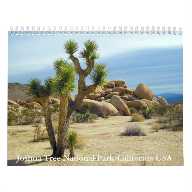 Joshua Tree National Park-California USA Calendar (Cover)