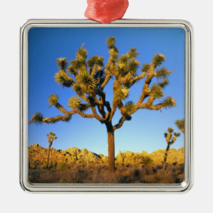 Joshua Tree National Park, California. USA. Metal Tree Decoration