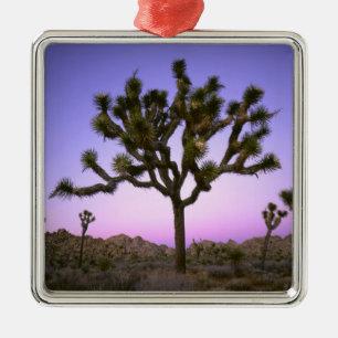 JOSHUA TREE NATIONAL PARK, CALIFORNIA. USA. METAL TREE DECORATION