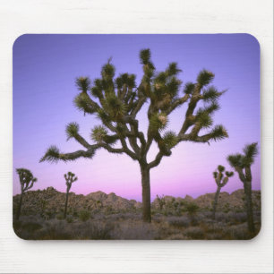 JOSHUA TREE NATIONAL PARK, CALIFORNIA. USA. MOUSE MAT
