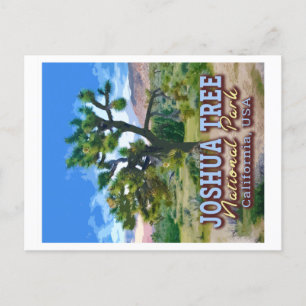 JOSHUA TREE NATIONAL PARK - CALIFORNIA USA POSTCARD
