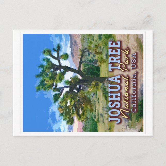 JOSHUA TREE NATIONAL PARK - CALIFORNIA USA POSTCARD (Front)