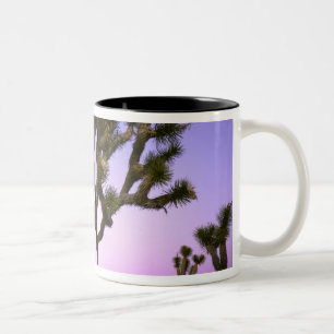 JOSHUA TREE NATIONAL PARK, CALIFORNIA. USA. Two-Tone COFFEE MUG
