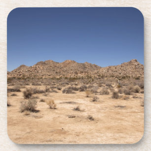 Joshua Tree National Park Coaster