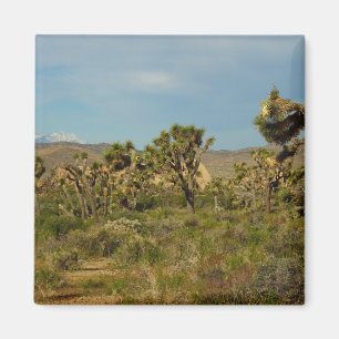 Joshua Tree National Park Desert Landscape Magnet