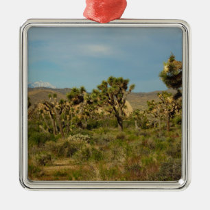 Joshua Tree National Park Desert Landscape Metal Tree Decoration