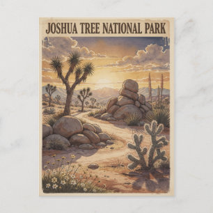 Joshua Tree National Park Desert Landscape Postcard
