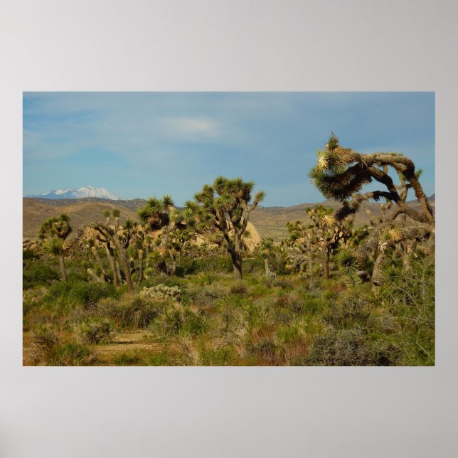 Joshua Tree National Park Desert Landscape Poster (Front)
