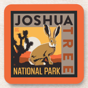 Joshua Tree National Park   Jackrabbit Coaster