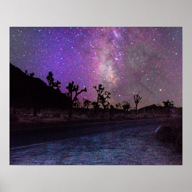 Joshua tree National Park milky way Poster (Front)