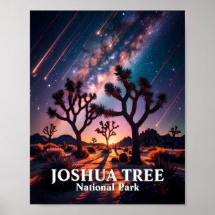 Joshua Tree National Park Night Sky Milky Way Poster