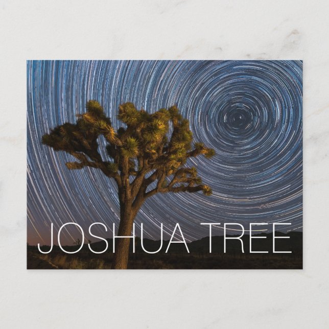 Joshua Tree National Park Night Sky Postcard (Front)