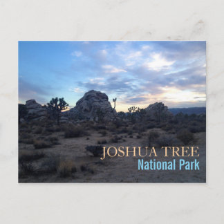 Joshua Tree National Park Postcard