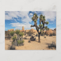 Joshua Tree National Park