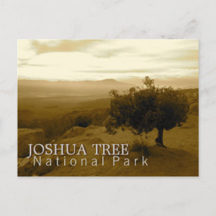 Joshua Tree National Park Postcard