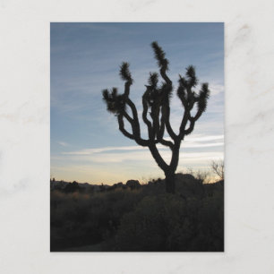 Joshua Tree National Park Postcard