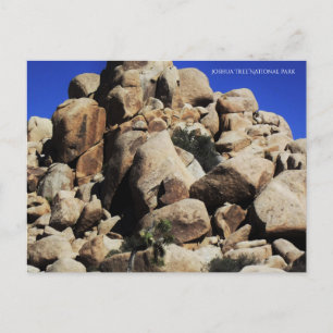 Joshua Tree National Park Postcard