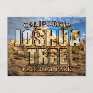 Joshua Tree National Park Postcard