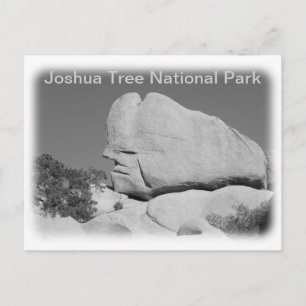Joshua Tree National Park Postcard! Postcard