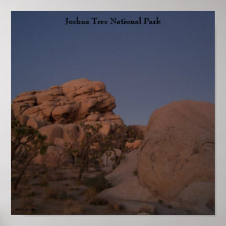 Joshua Tree National Park Poster