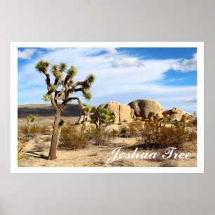 Joshua Tree National Park Poster