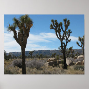 Joshua Tree National Park Poster