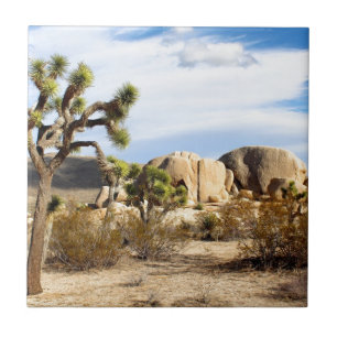 Joshua Tree National Park Tile