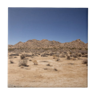 Joshua Tree National Park Tile