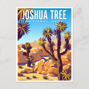Joshua Tree National Park Tule Springs Vintage Postcard