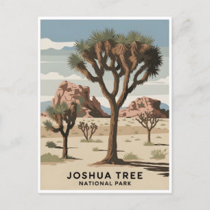 Joshua Tree National Park Vintage Postcard
