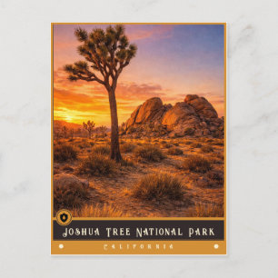 Joshua Tree National Park   Vintage Postcard