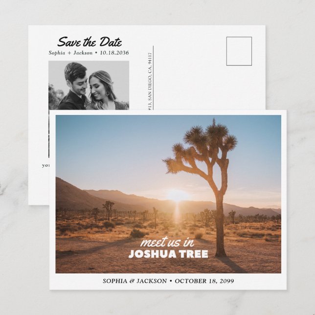 Joshua Tree National Park Wedding Save the Date Postcard (Front/Back)