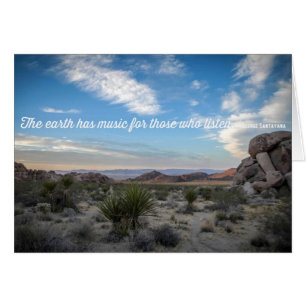 joshua tree nature