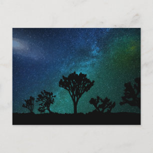 Joshua Tree Night Sky Postcard