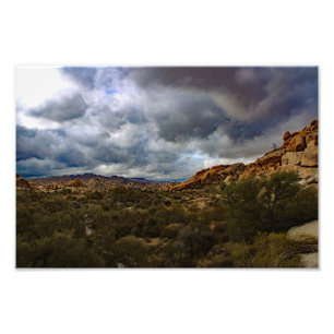 Joshua Tree Photo Print