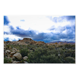 Joshua Tree  Photo Print