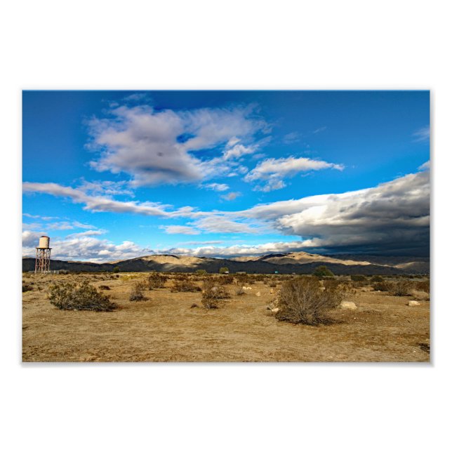 Joshua Tree Photo Print (Front)