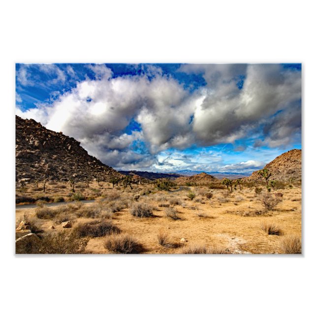 Joshua Tree Photo Print (Front)