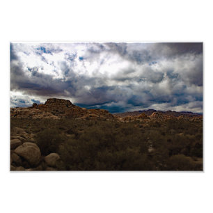 Joshua Tree Photo Print