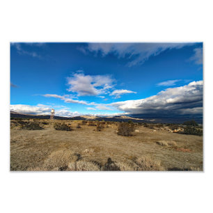 Joshua Tree Photo Print