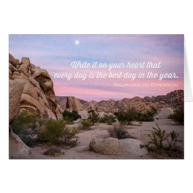 Joshua Tree Pink Moment (Front Horizontal)