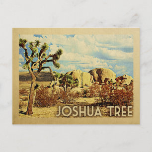 Joshua Tree Postcard California Vintage Travel