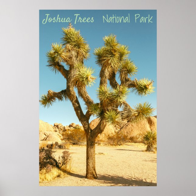 Joshua Tree Poster (Front)