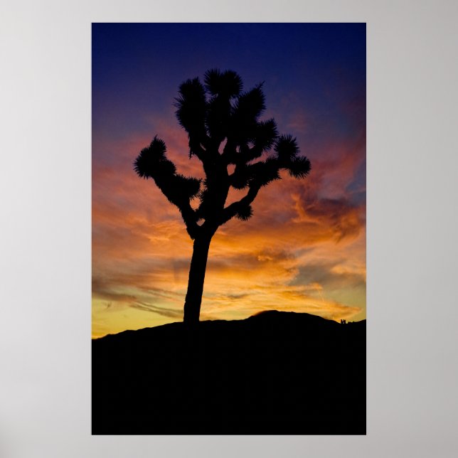 Joshua Tree Poster (Front)